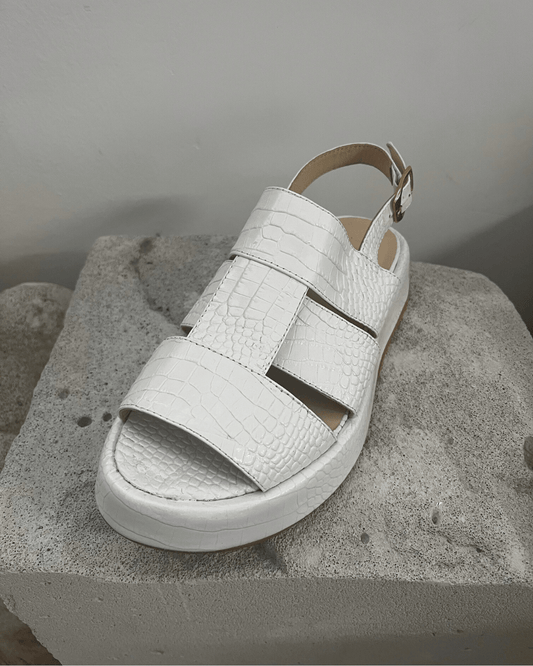 RED DOT - BAT - SHEVA White - LAX