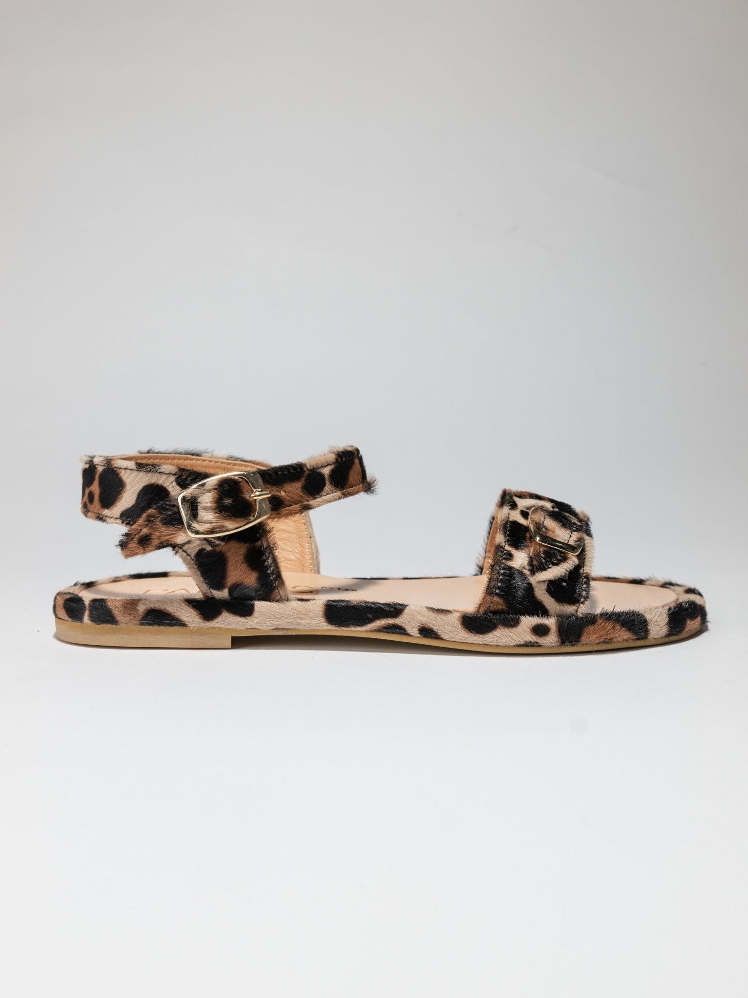 RED DOT PARDES SUN - dals Jaguar printed pony leather - LAX